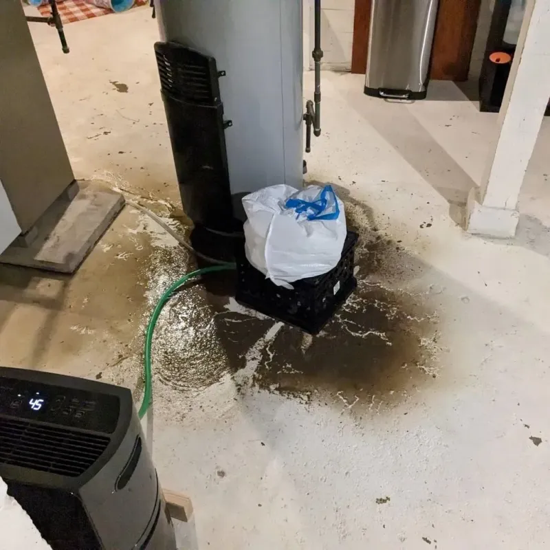 Sewage Backup Cleanup Service in Las Quintas Fronterizas, TX